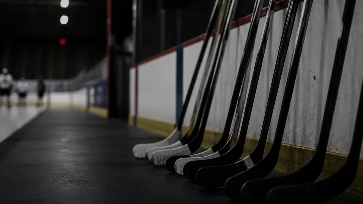 Uppradade ishockeyklubbor